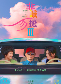 简单任务4国语完整版在线观看